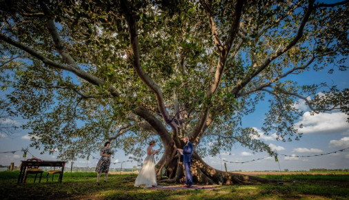 Wedding Photography: Alex and Kyla in Morpeth NSW 56